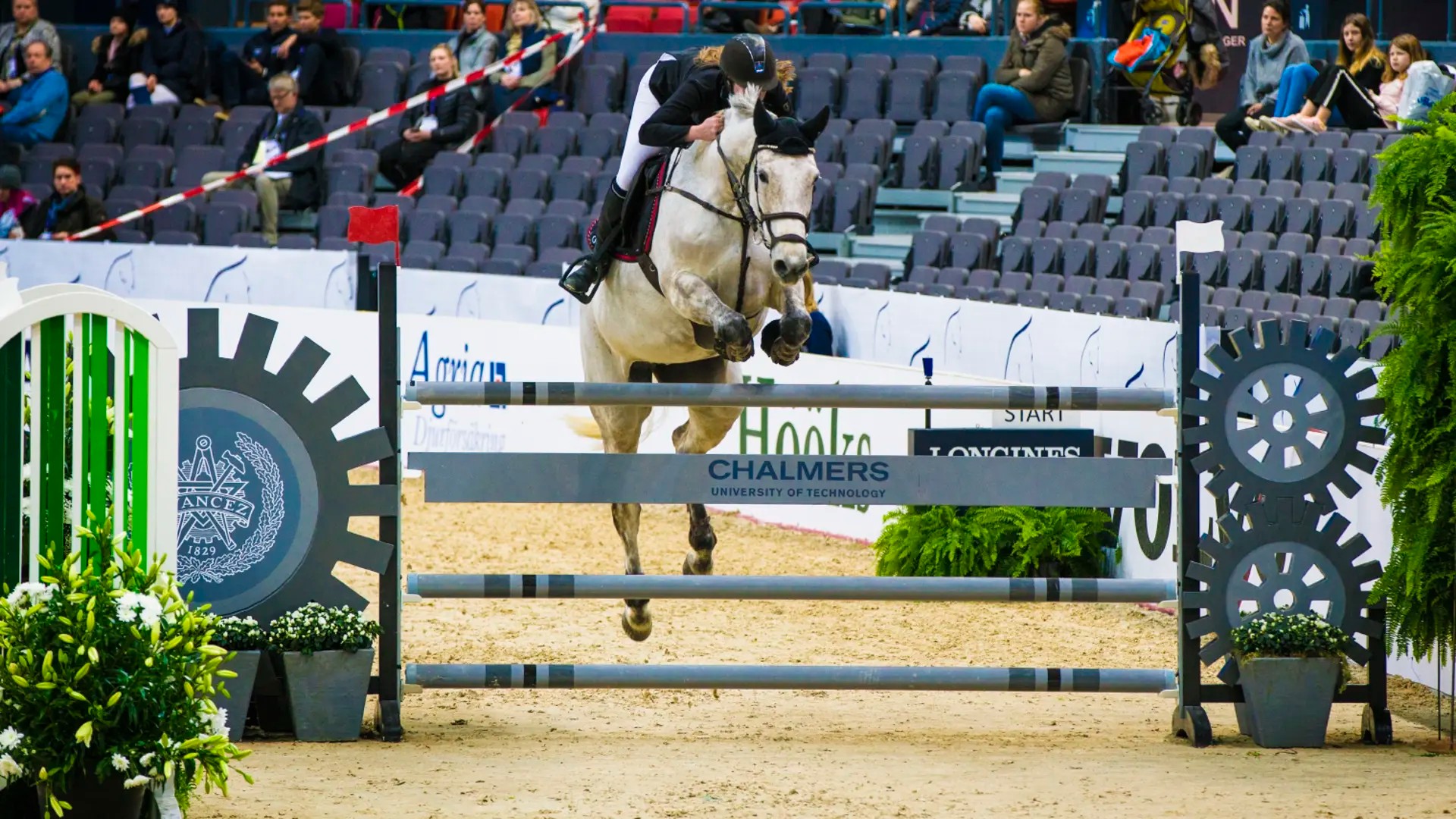 Chalmershindret 2018 på Gothenburg Horse Show i Scandinavium. Hindret mäter hästarnas avstampskraft i hoppet och landningen.