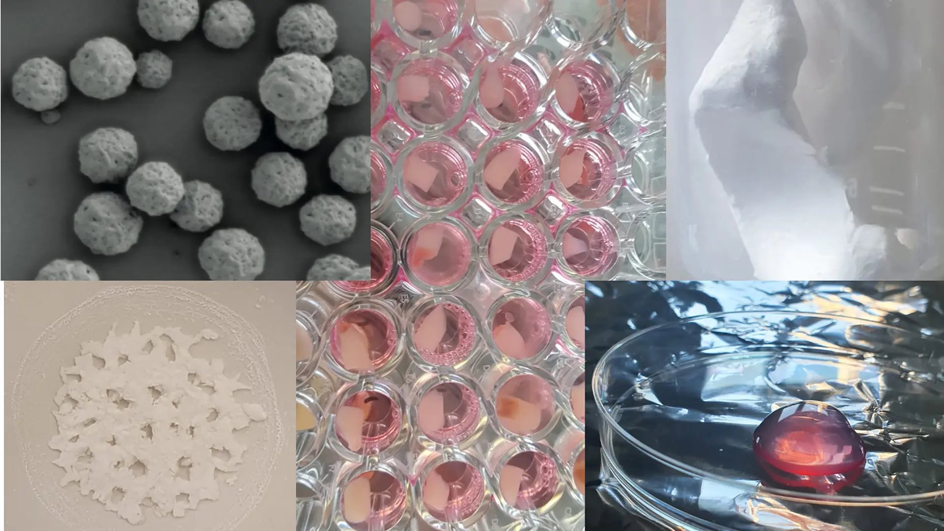 A collage showing different parts of the research groups laboratory experiments