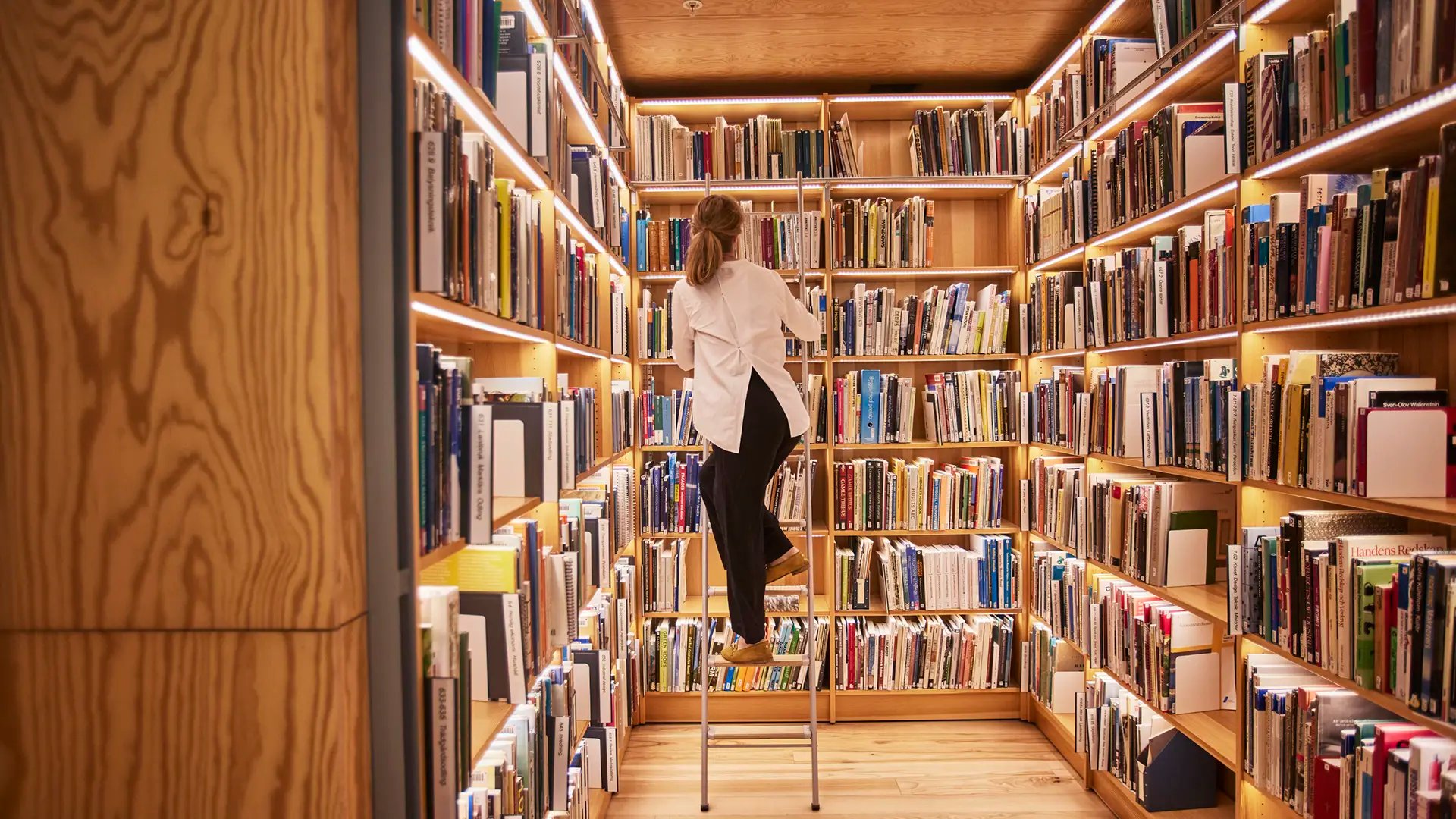 Bookshelves in the library