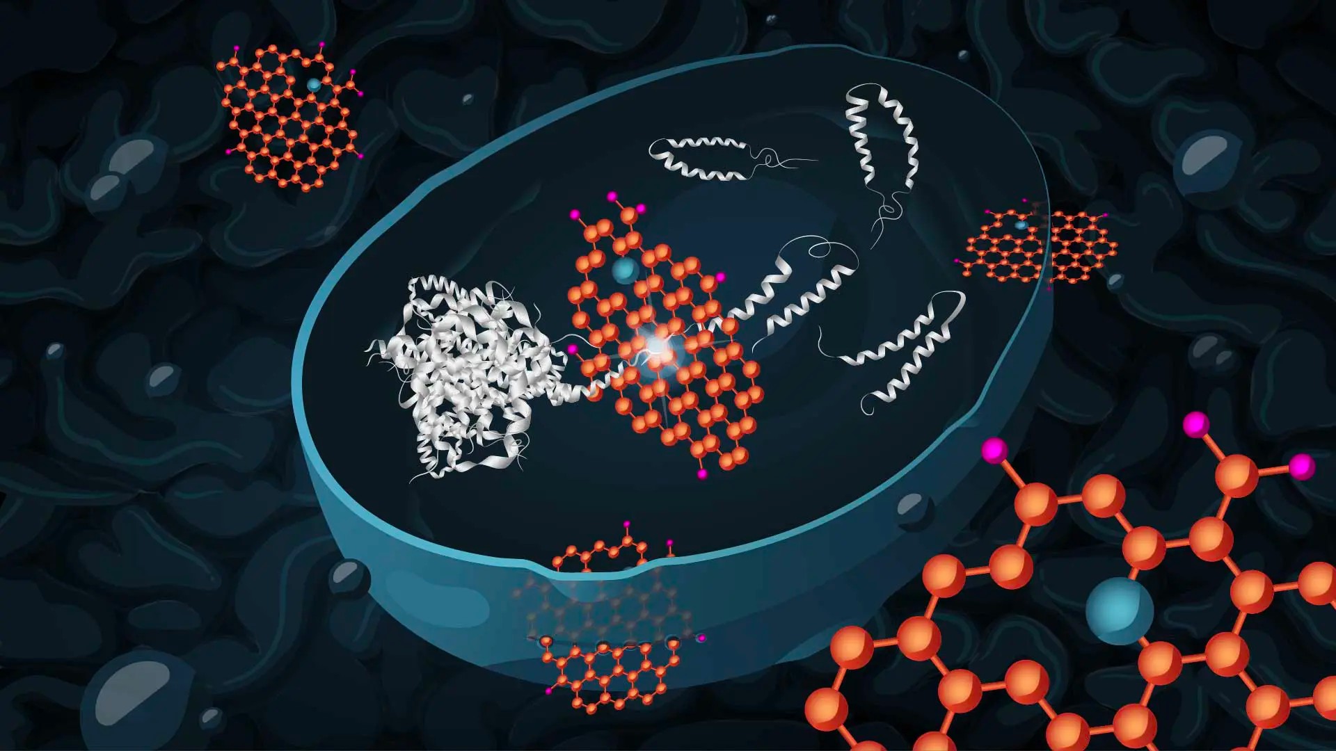 Illustration av hur grafenoxid kan tränga in i jästceller