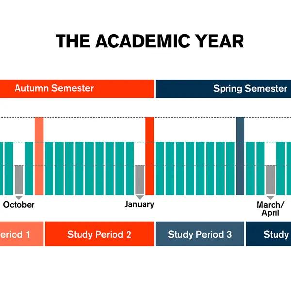 The academic year