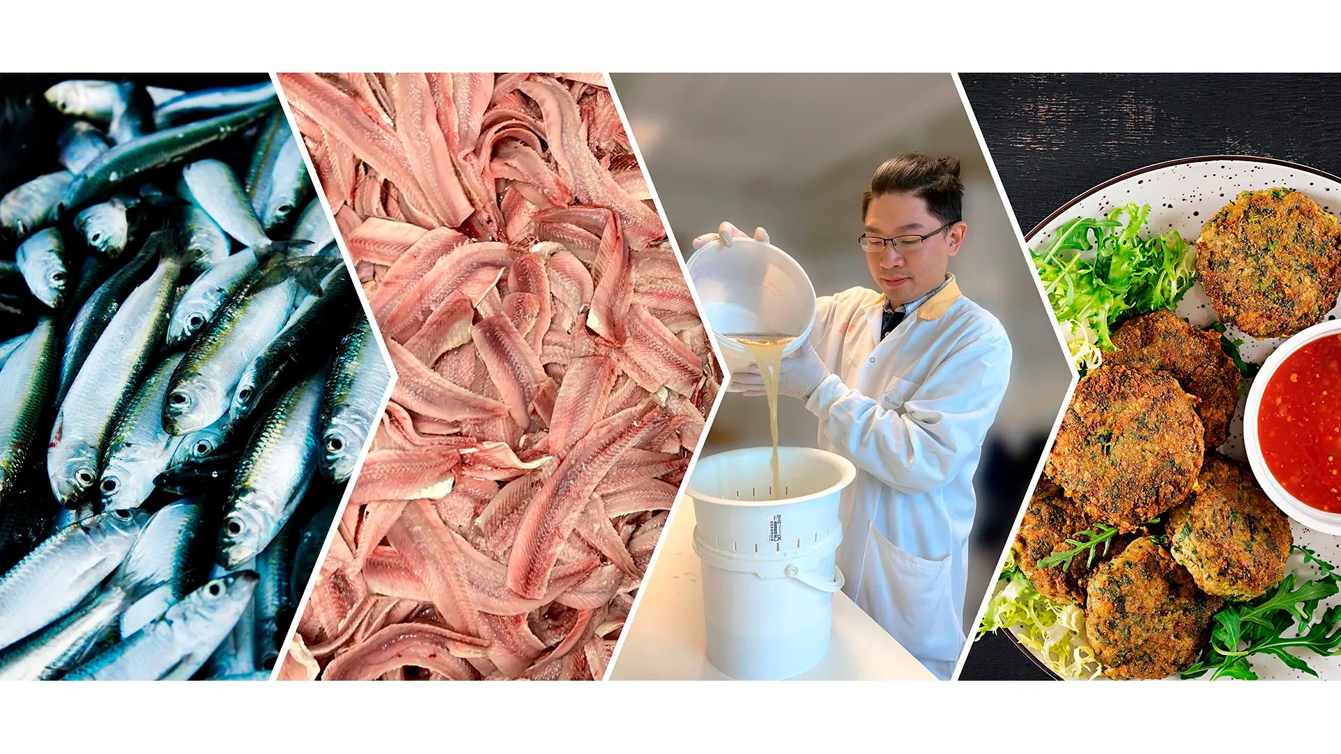 Herring, fillets, researcher Haizhou Wu and fish burgers, collage.