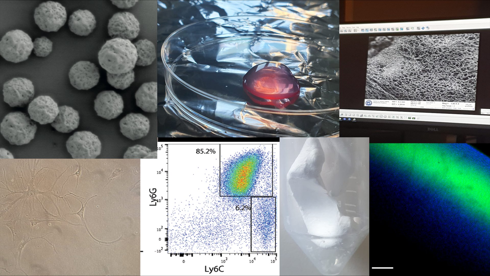A collage showing different parts of the research groups laboratory experiments