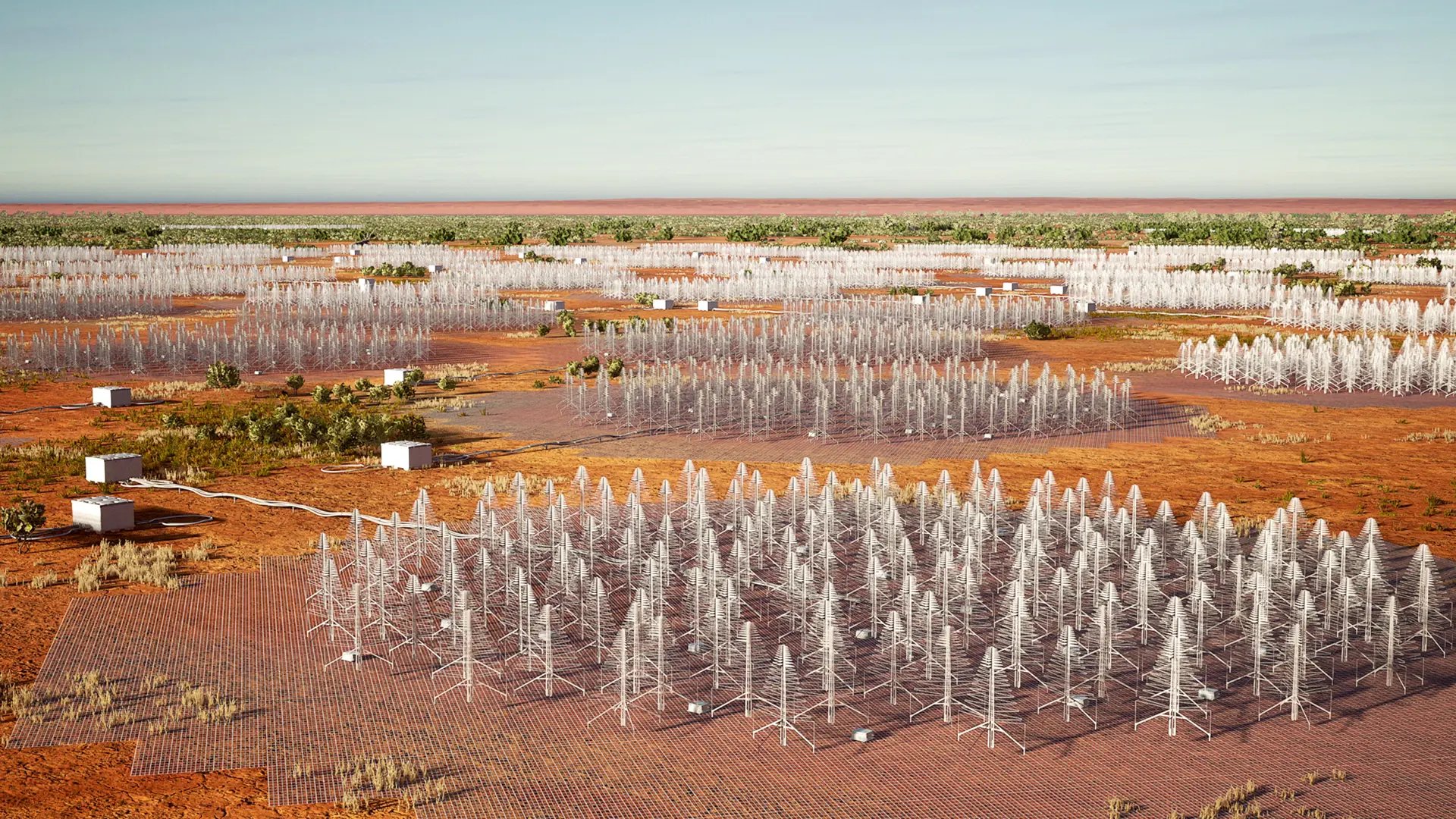 Tusentals antenner ska utgöra teleskopet SKA-Low i Australien.​​ ​Bild: SKAO