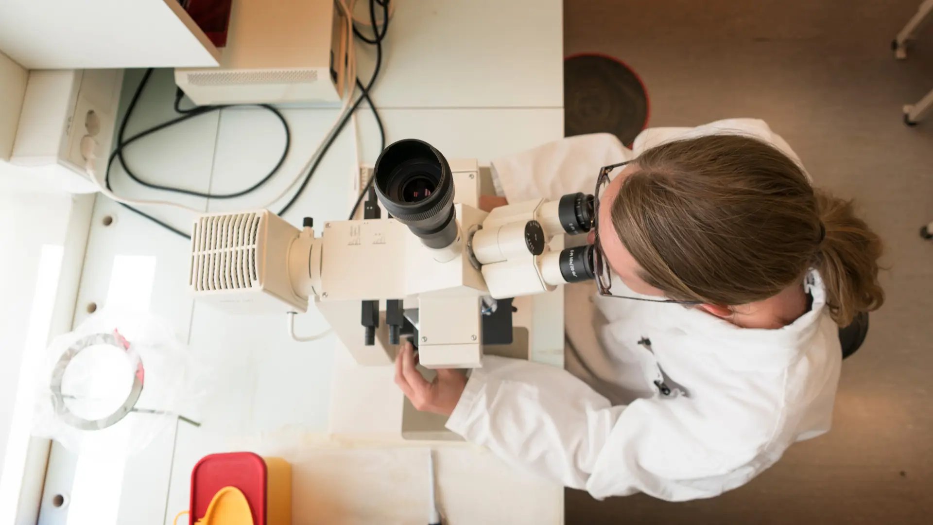 Forskare i ett laboratorium tittar i mikroskop
