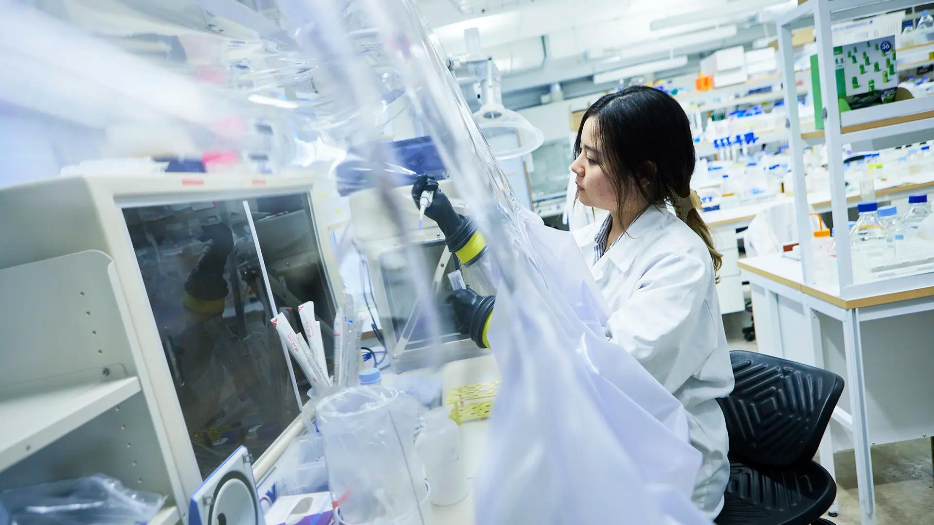 Forskare i labbrock arbetar i ett dragskåp i ett laboratorium