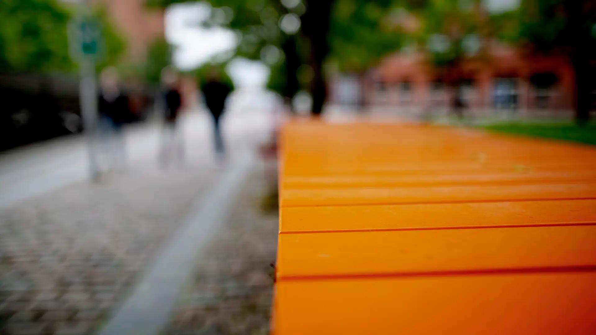 Outdoor close-up of a bench
