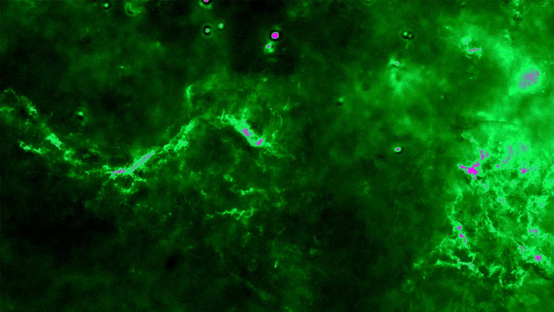 Molecular clouds mapped in the PROMISE survey