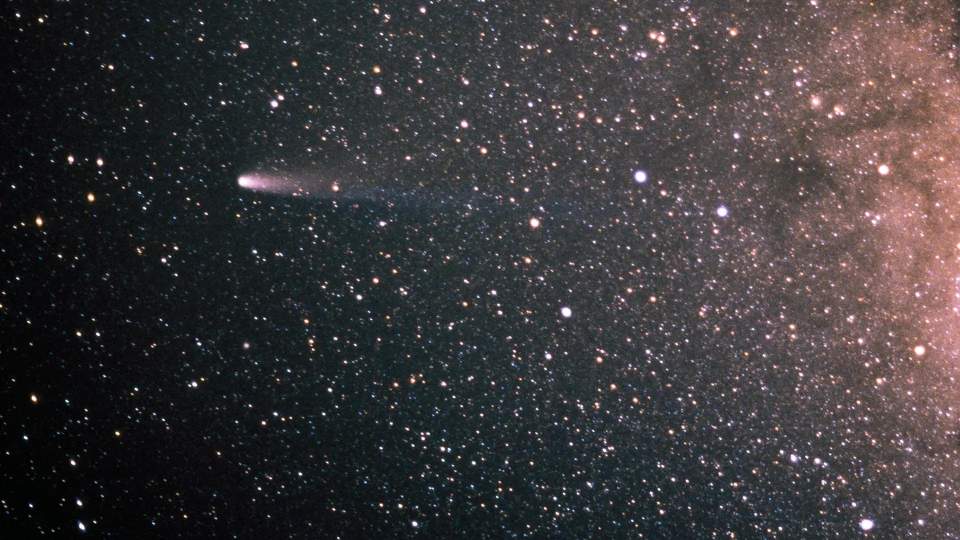 Komet Halley, 1986 (Bild: ESO)