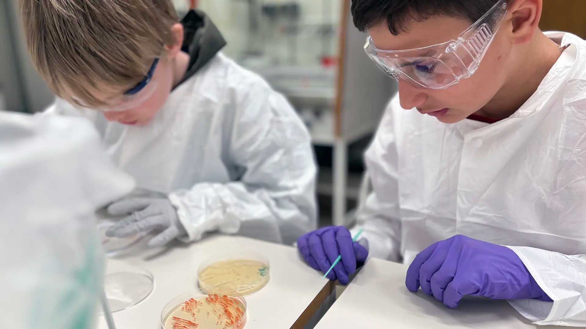 Två elever iklädda skyddsutrustning målar med jästceller
