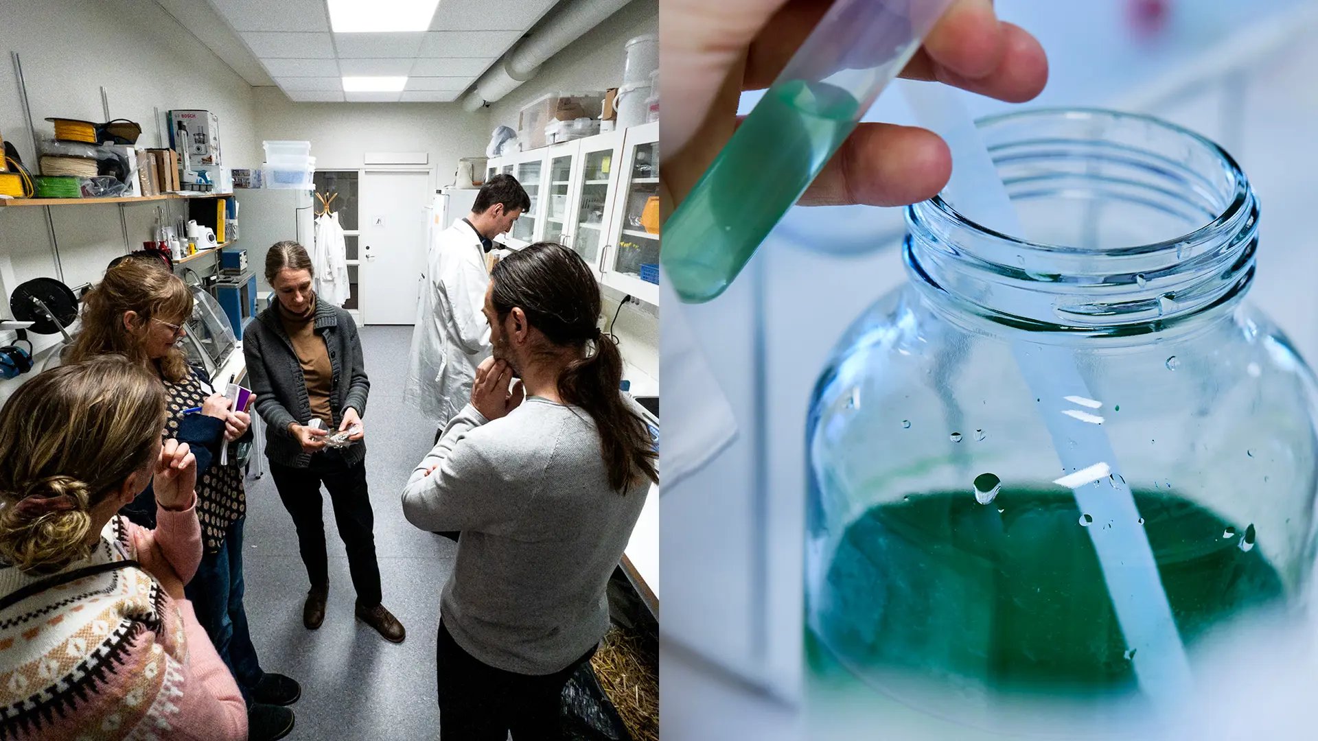 Bildkollage forskare och lärare, burk och pipett med grön vätska i laboratorium 