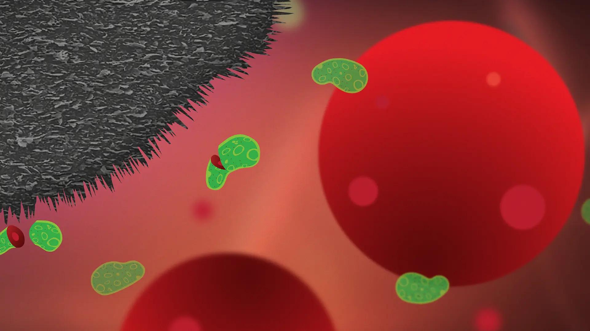 Grafinanoflagor som skär sönder bakterier, illustration. 