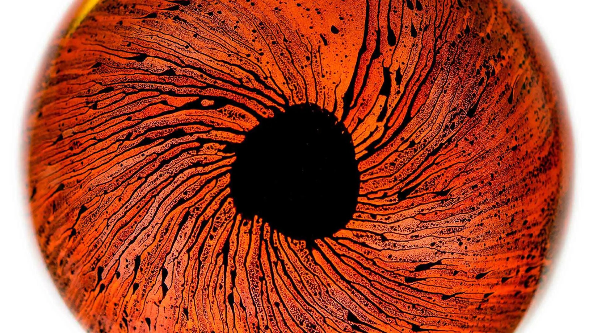 Vinnare 2018: "The eye of the rotary storm" av Petri Murto.