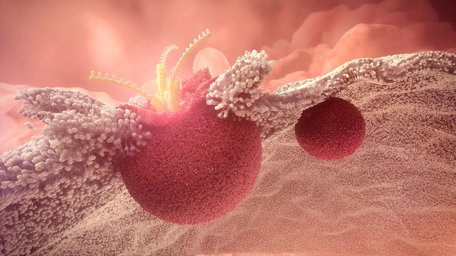 ​Lipi​d nanoparticle breaking the endosomal membrane in a cell. Illustration: AstraZeneca