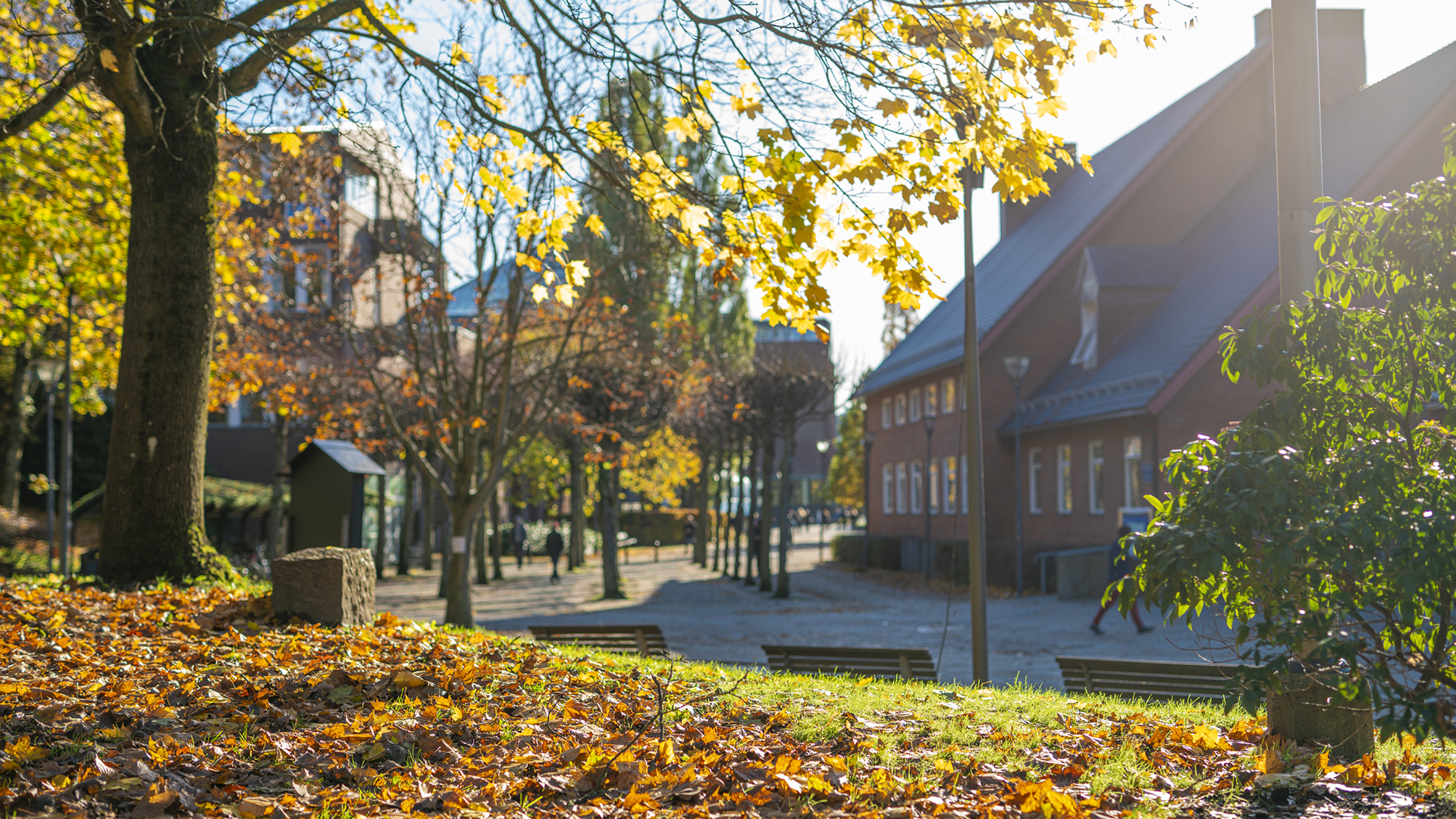 Talare Talare | Chalmers