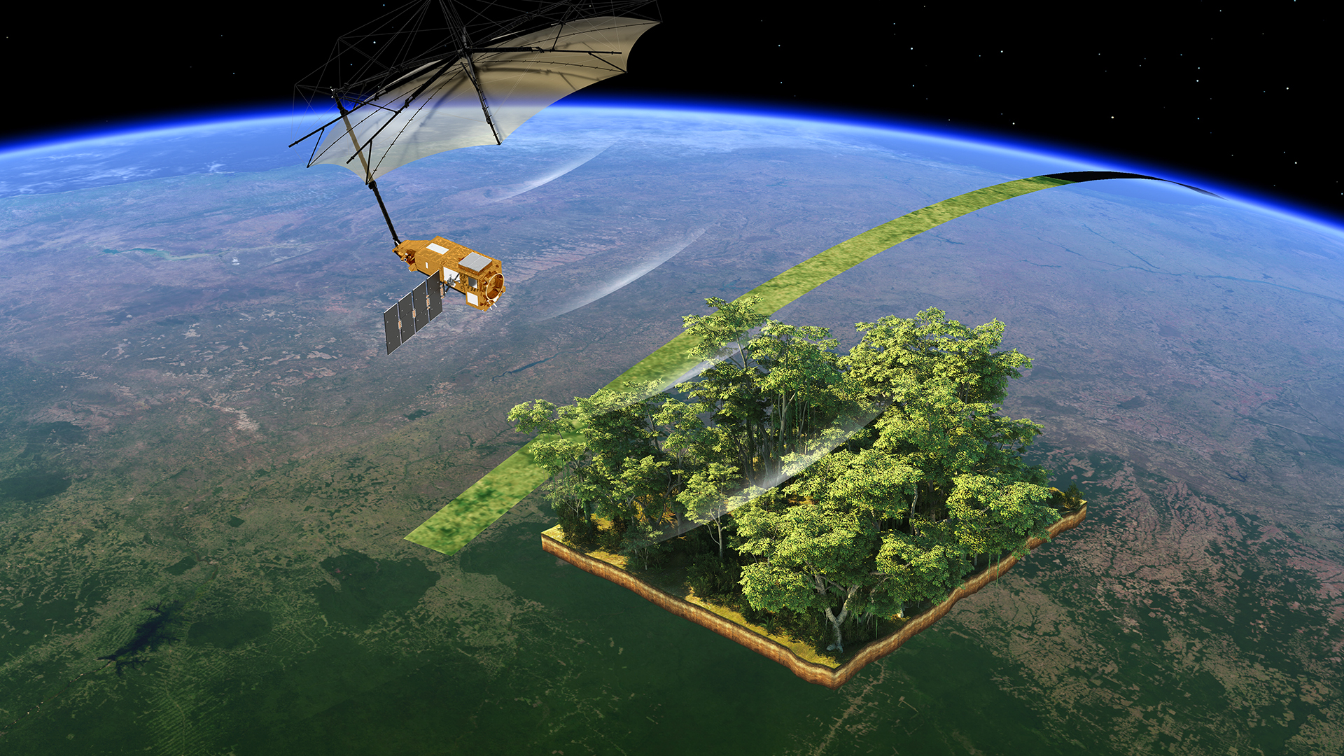 New satellite will weigh the world’s forests | Chalmers
