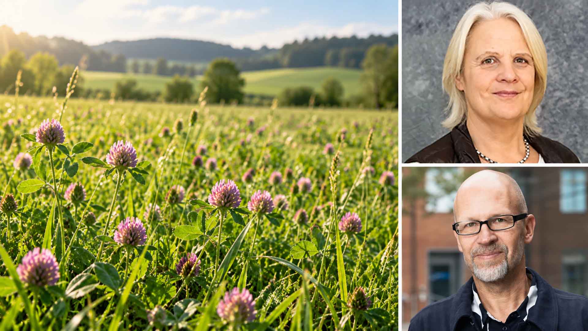 Photo: chalmers.se Collage showing a field of grass and clover and portraits of researchers Christel Cederberg and Göran Berndes